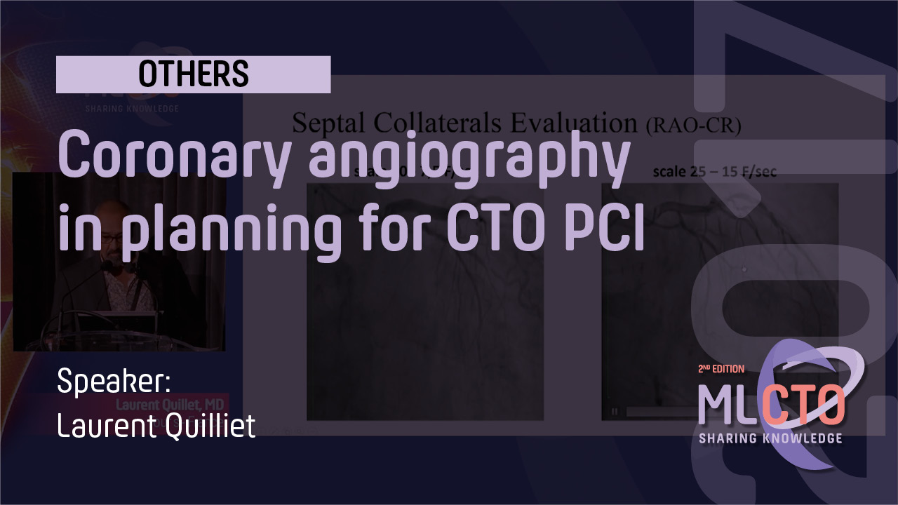 Coronary angiography in planning for CTO PCI