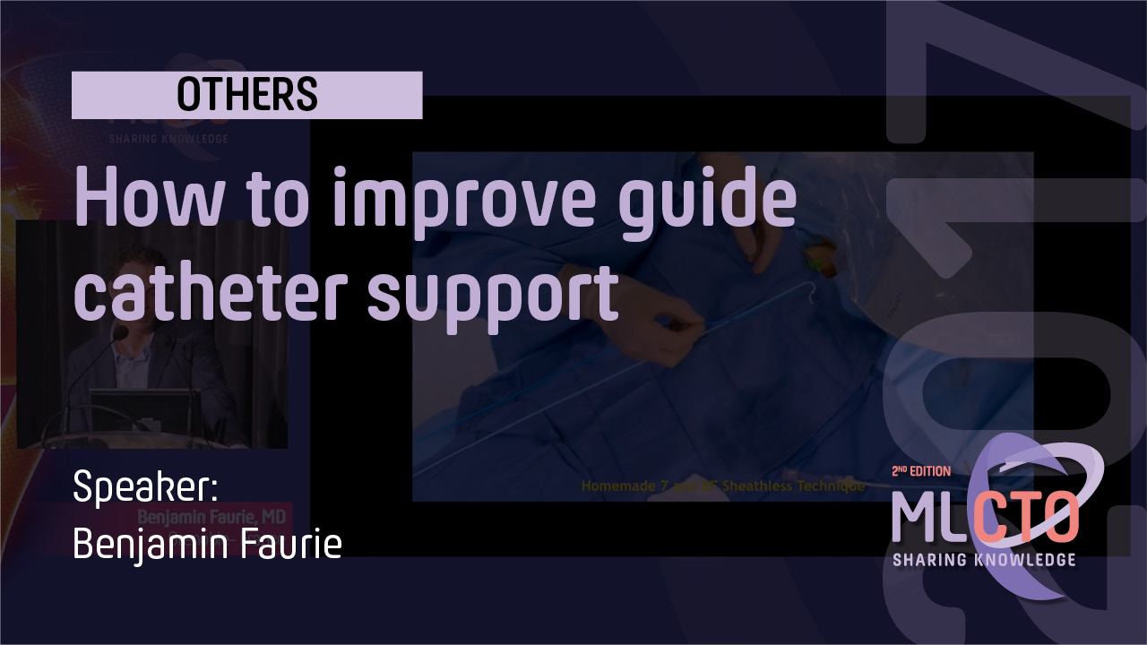 How to improve guide catheter support