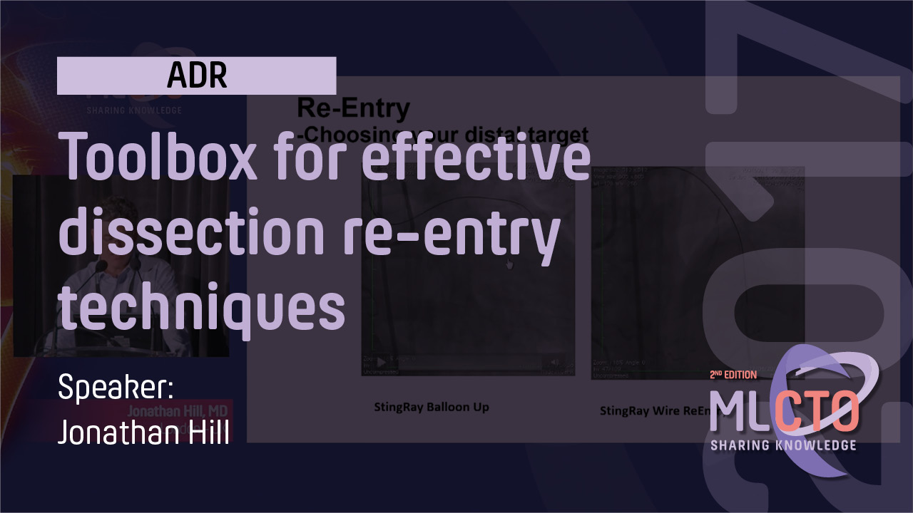 Toolbox for effective dissection re entry techniques