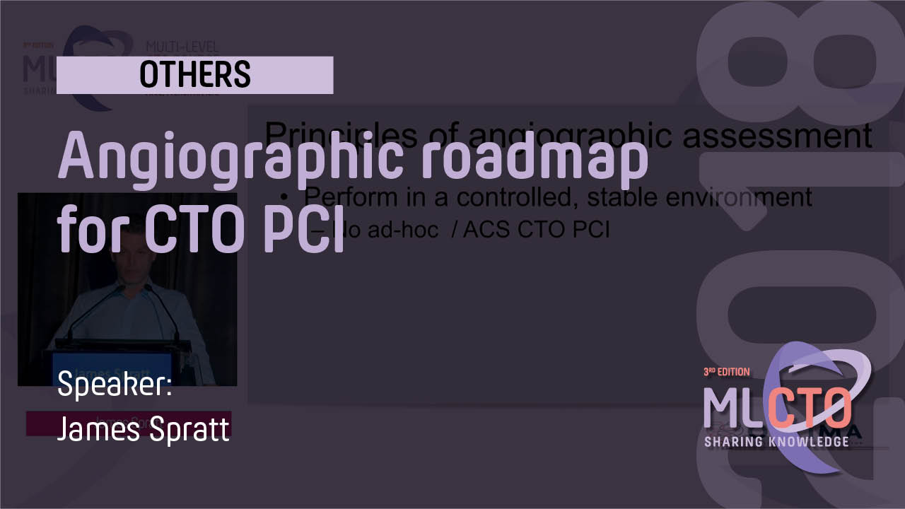 Angiographic roadmap for CTO PCI