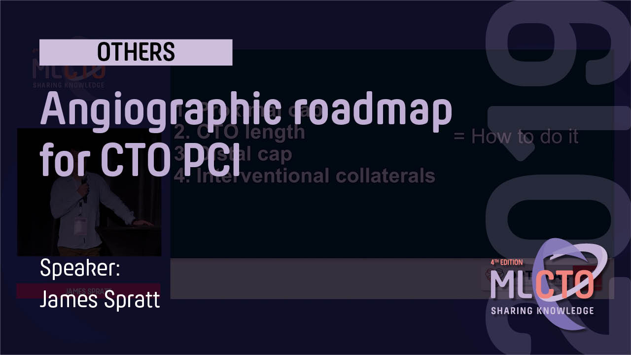 Angiographic roadmap for CTO PCI