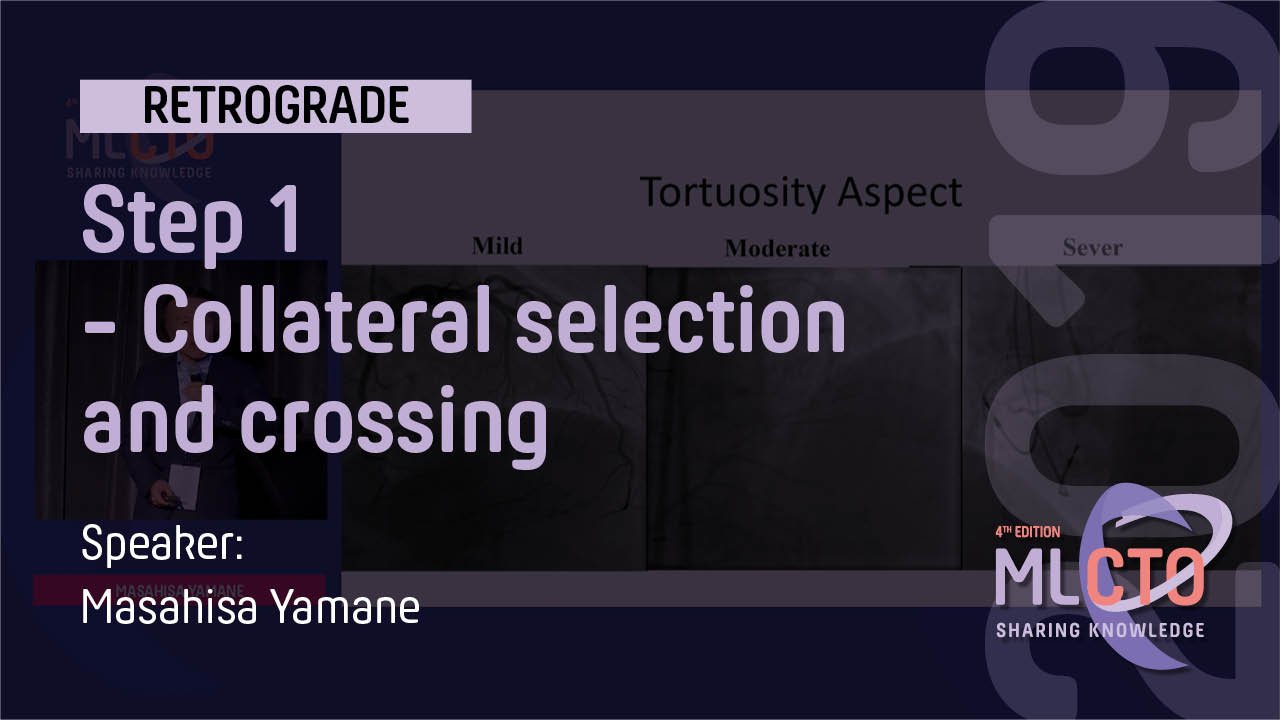 Step 1   Collateral selection and crossing