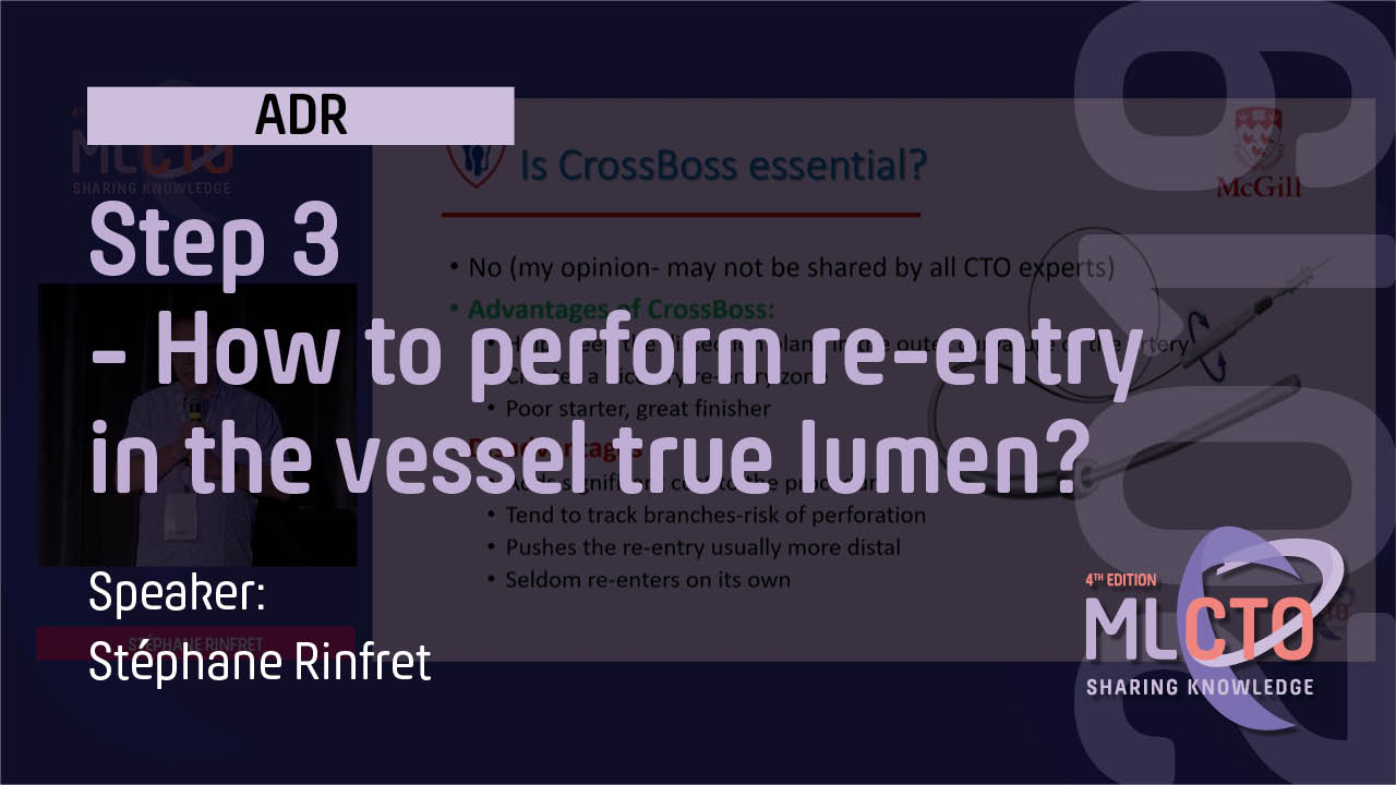 Step 3  – How to perform re entry in the vessel true lumen