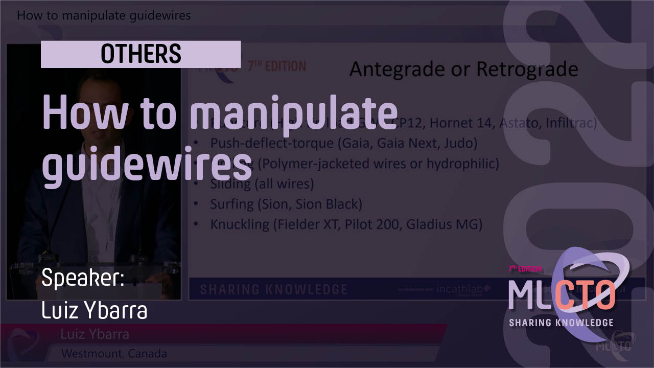 How to manipulate guidewires