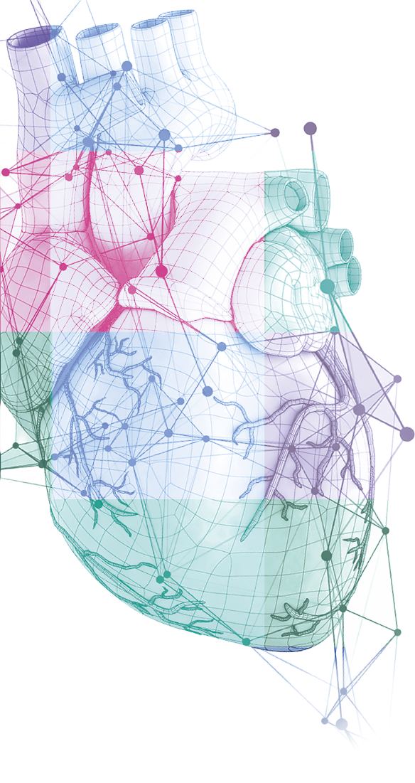 ML CTO Course Hart 2026