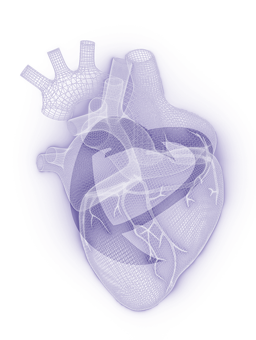MLCTO ACADEMY - HEART