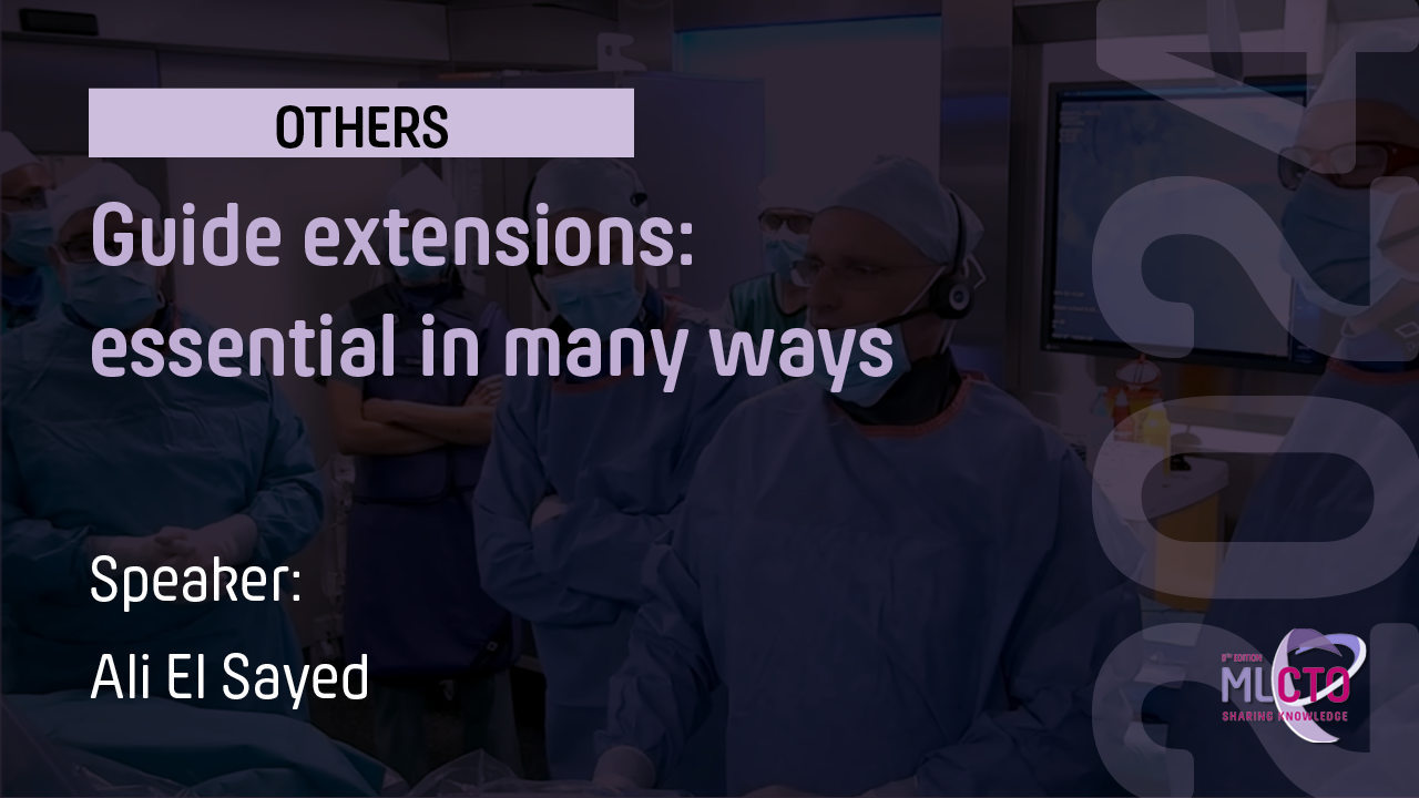 Guide extensions: essential in many ways