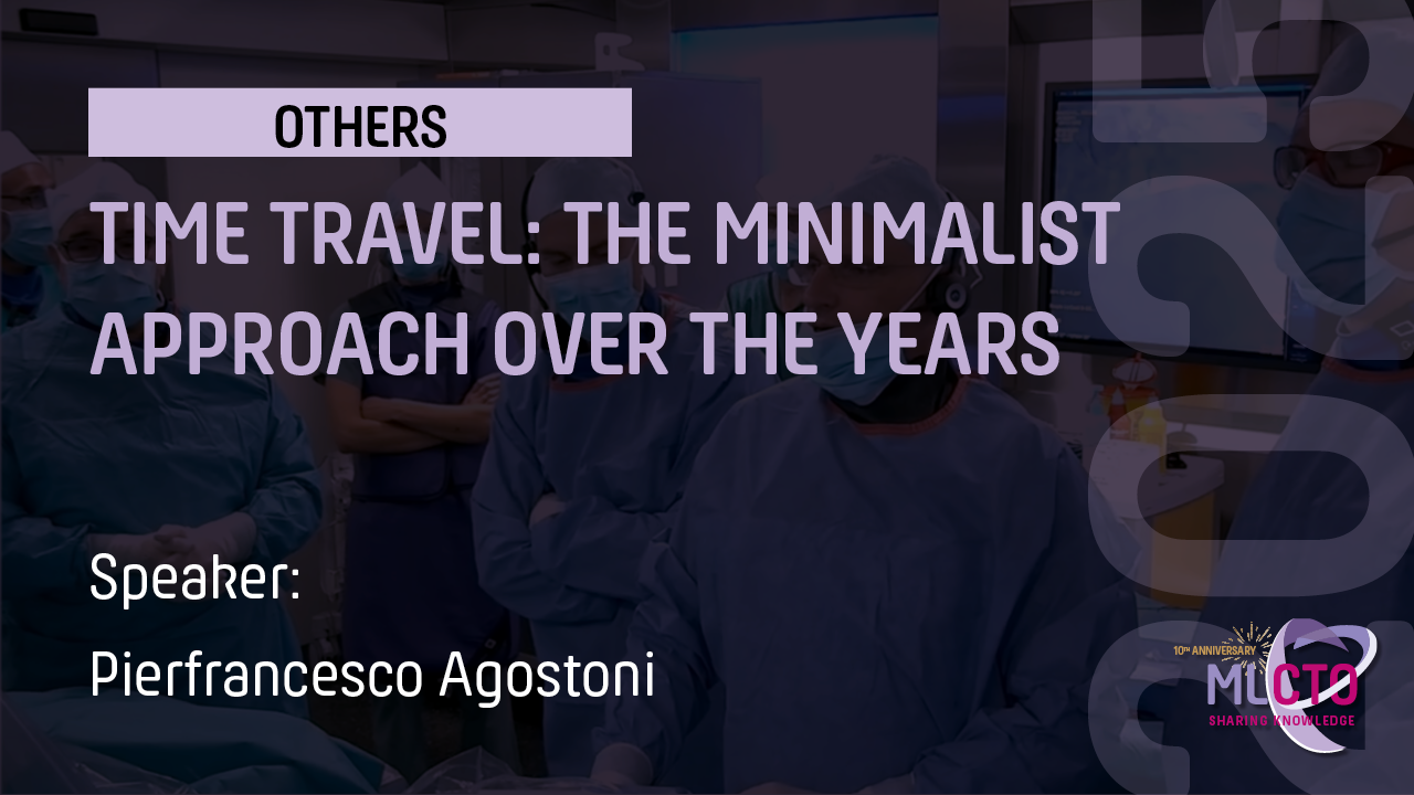 TIME TRAVEL: THE MINIMALIST APPROACH OVER THE YEARS