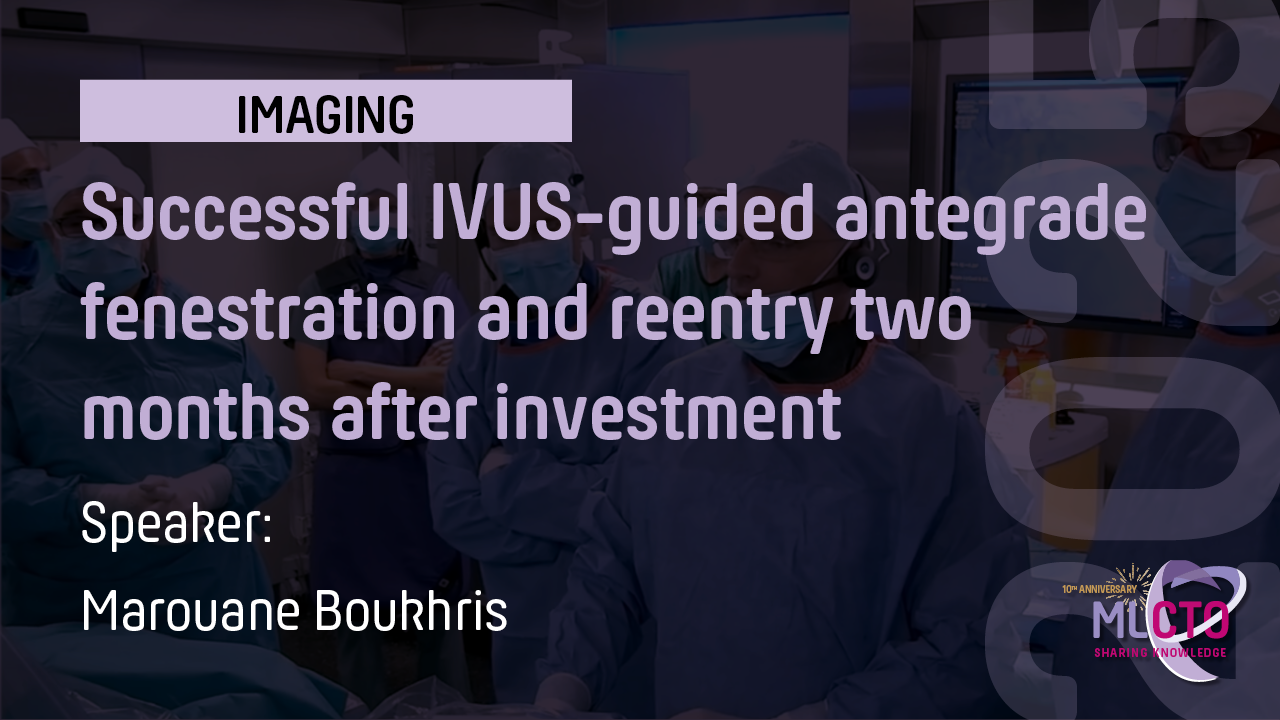 Successful IVUS-guided antegrade fenestration and reentry two months after investment